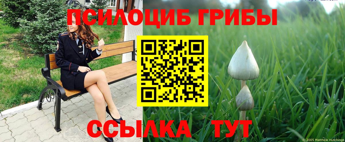Галлюциногенные грибы мицелий Норильск