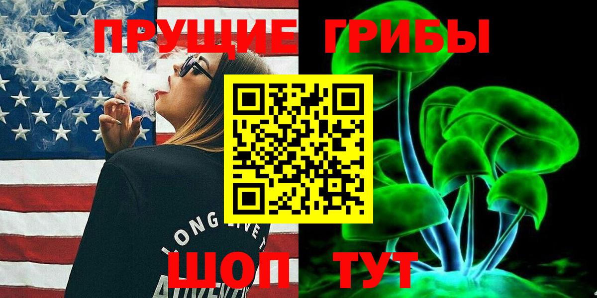 Норильск  Галлюциногенные грибы Psilocybe  Вход с VPN 
